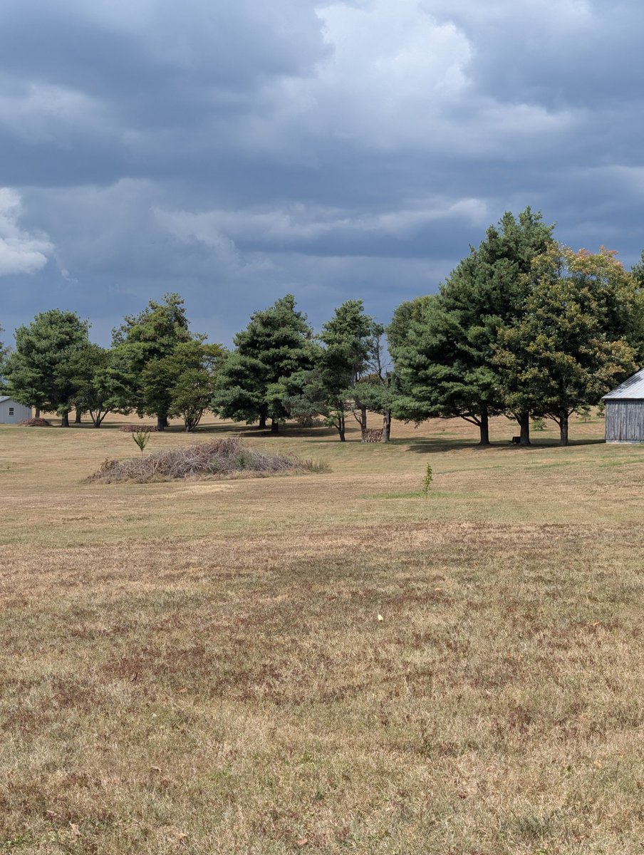 skream's tweet image. It went all around us in east jessamine county.  Zilch again. @Kentuckyweather