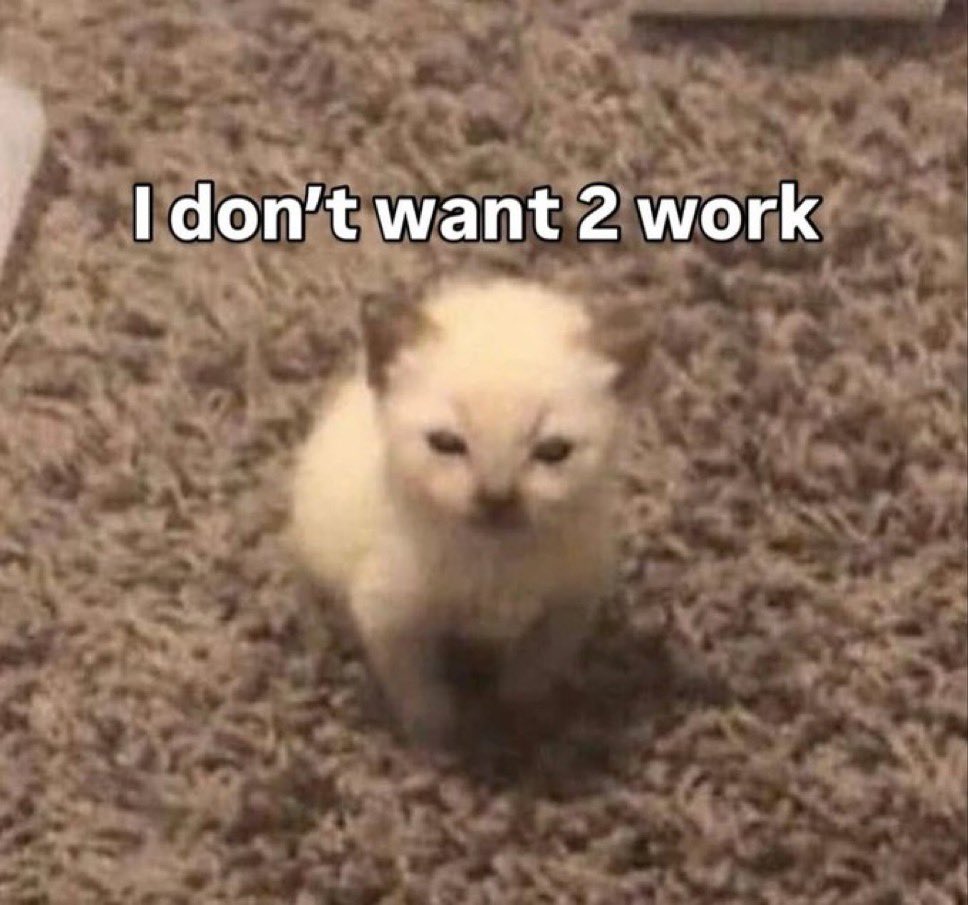 LiterallyMeCats (@literallymecats) on Twitter photo 