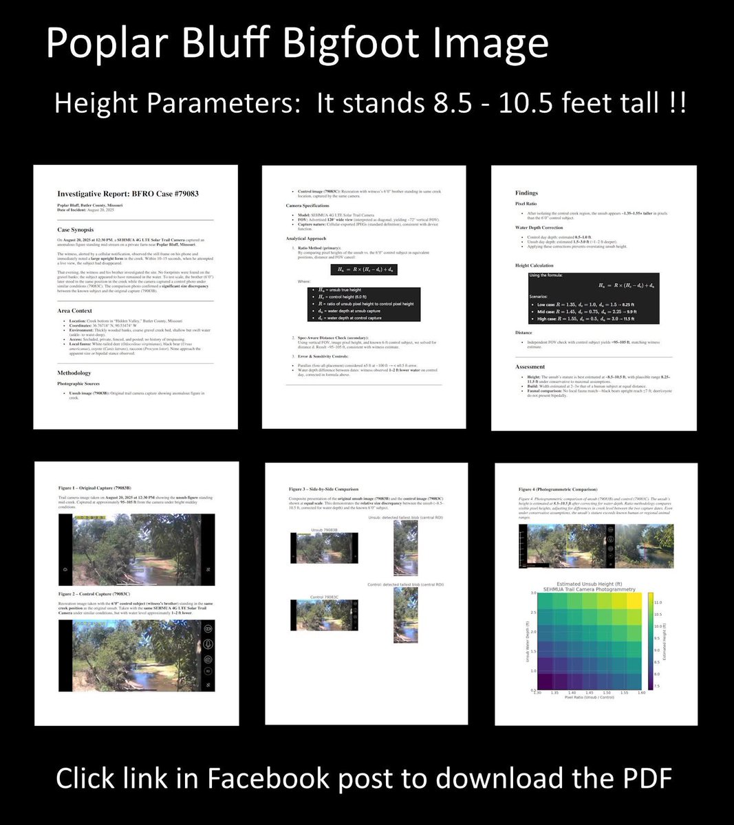 ATTN Missouri (Poplar Bluff area)
Regarding the 8/20/25 Trail Camera Photo of the "Boeving Creature"

It’s a very big Bigfoot. 

A bigfoot-like figure in a trail camera image is easier to measure than a figure in a smartphone image because comparative images can be obtained from
