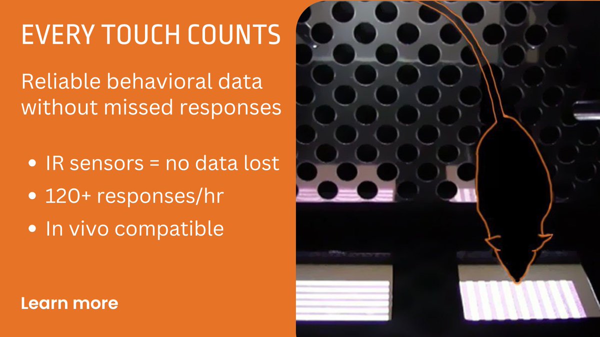 AmuzaInc's tweet image. Missed touches = missed insights.

The Touch Panel Operant Chamber ensures:
✅ IR sensor precision
✅ 120+ responses/hour
✅ Customizable tasks
✅ In vivo compatibility

Every touch counts. Every dataset is complete.
👉 bit.ly/41ze0Xj
#BehavioralResearch