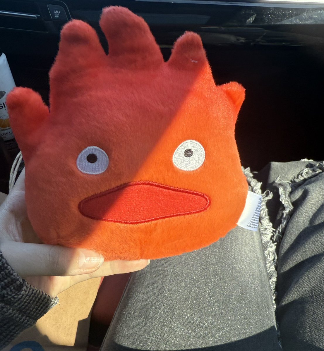 urfavhanner's tweet image. My #4th time going to Barnes and noble. Still no albums. But it’s ok bc I bought a Calcifer