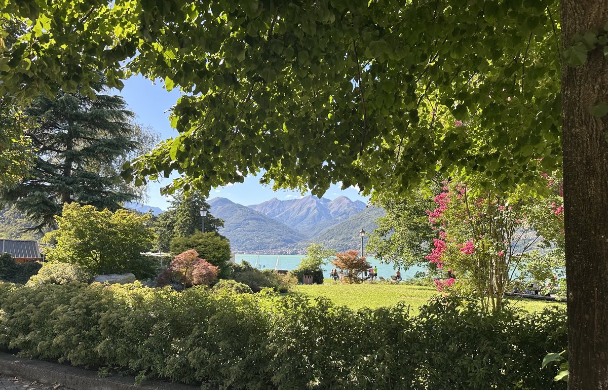 DenizBa54057859's tweet image. Bobb Ross olsa böyle çizerdi. #Colico #Como