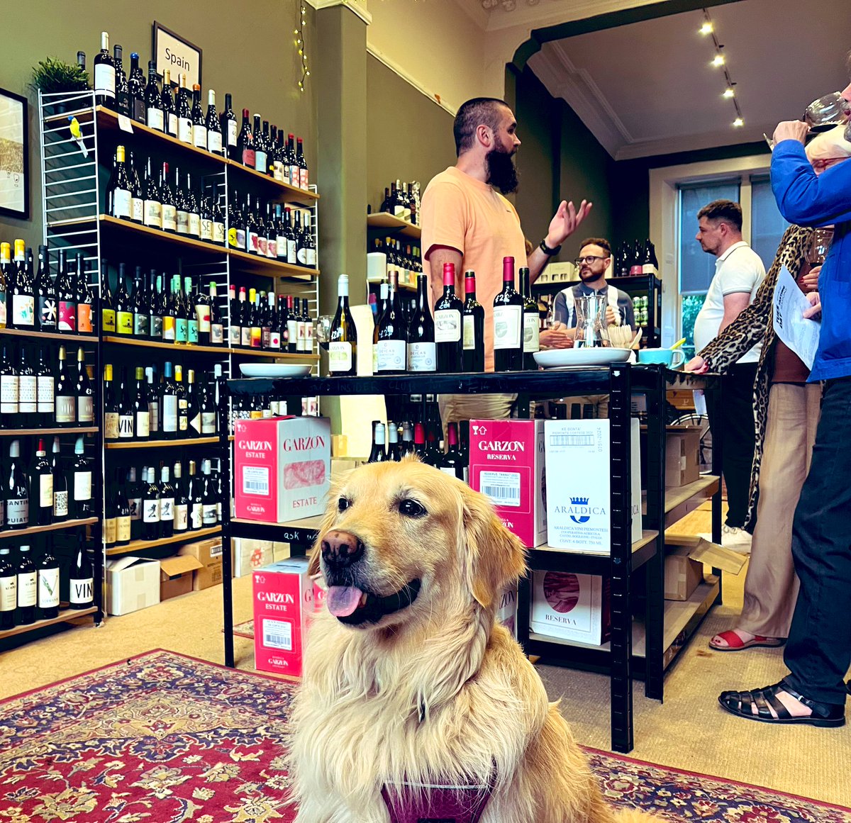 Tasting some great Uruguayan wines in Scotland, thanks to Wine Kraft of Edinburgh. 🍷 🙏 

Un toque de #Uruguay en Edimburgo 🏴󠁧󠁢󠁳󠁣󠁴󠁿. Una noche de cata de vinos uruguayos. Bella, nuestra oriental 🇺🇾, nos acompañó 🐕. 

<a href="/SDeicas/">Santiago Deicas</a> <a href="/nbonino/">Nicolás Bonino</a>