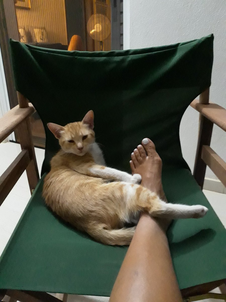 Ο Λαλαγγης αρχοντας!