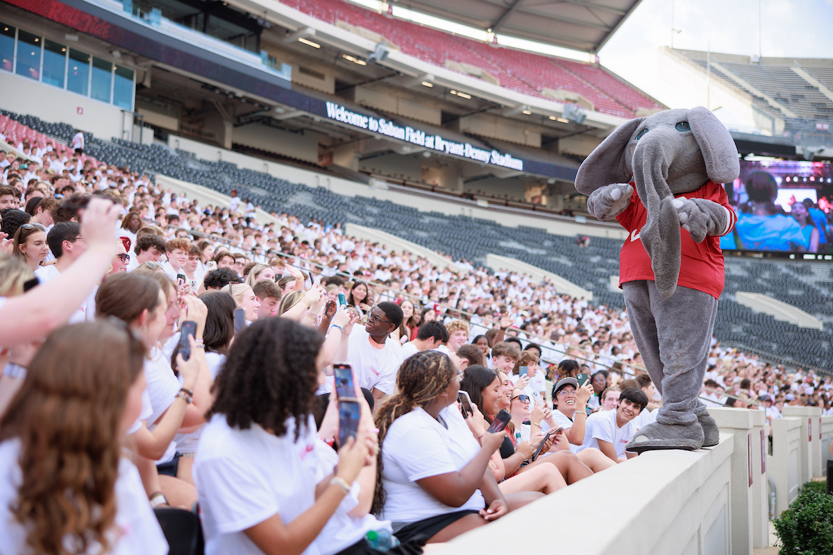 UofAlabama's tweet image. Hey #Bama 👋 We&apos;ve had the time of our lives with you these past few weeks! From #ScriptA to Bama Jam, we hope you had the chance to meet new people &amp;amp; have FUN 🤩 Find yourself in the full photo album 📸 → go.ua.edu/3HH0Vo5