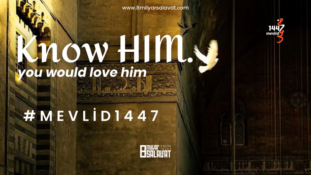 Know HIM. 
You would love him
#Mevlid1447