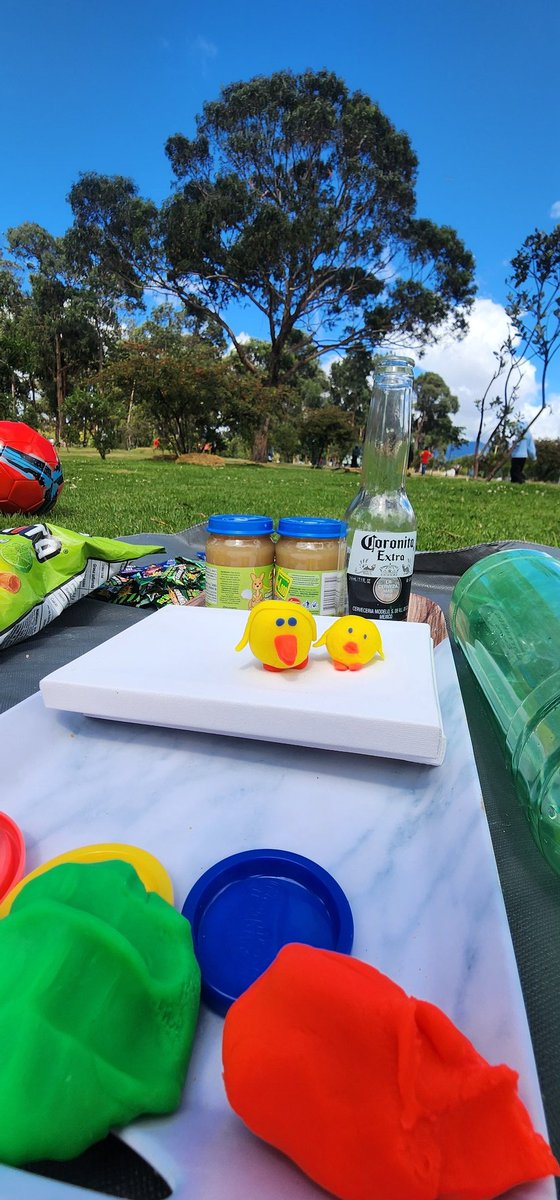 Picnic!! 🏕☀️