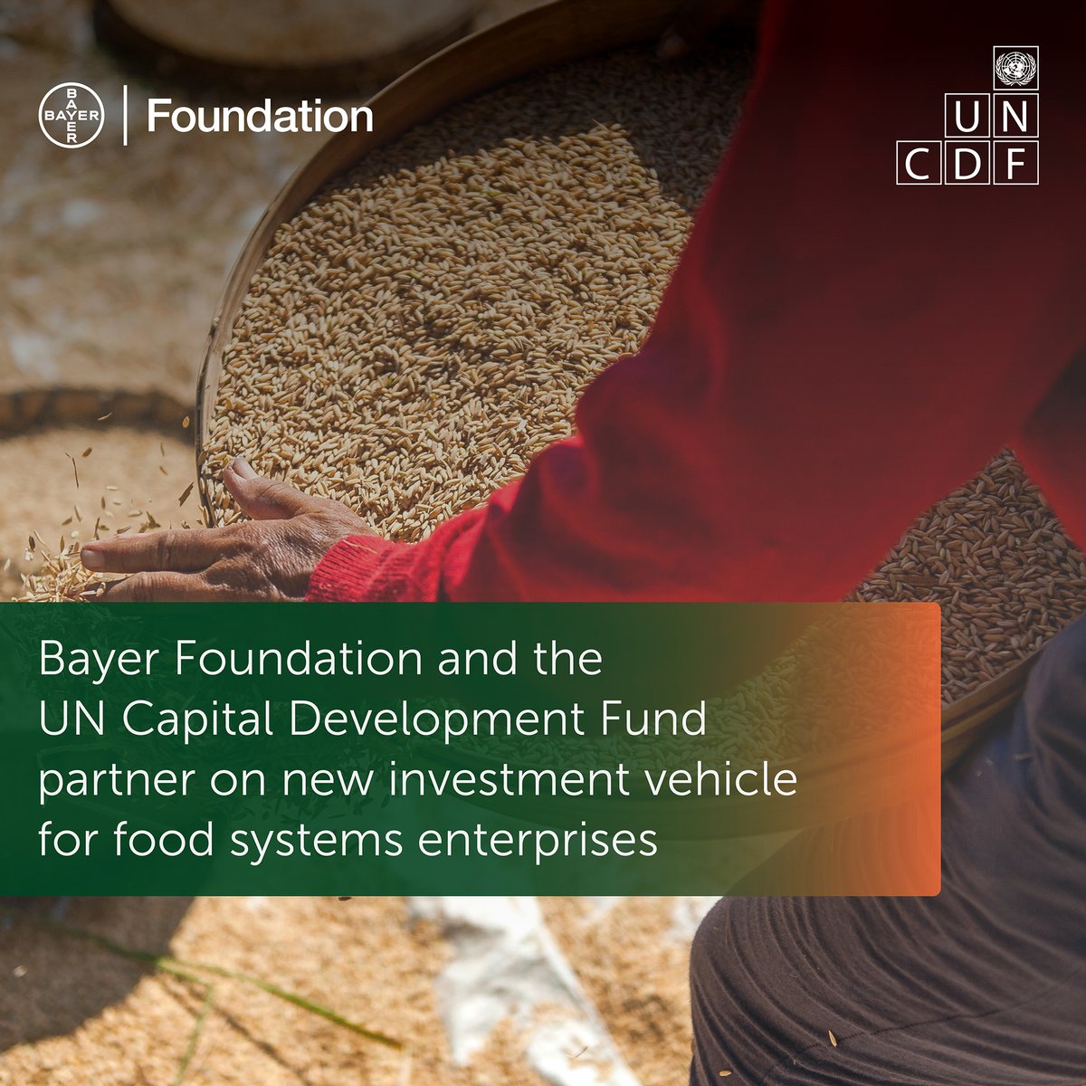 We are proud to partner with <a href="/BayerFoundation/">Bayer Foundation</a> on the Food Systems Innovation Finance Facility. With $4.5 million in catalytic funding, managed by <a href="/UNCDF/">UNCDF</a>, the Facility will de-risk high-potential food systems enterprises in underserved markets and mobilize additional capital