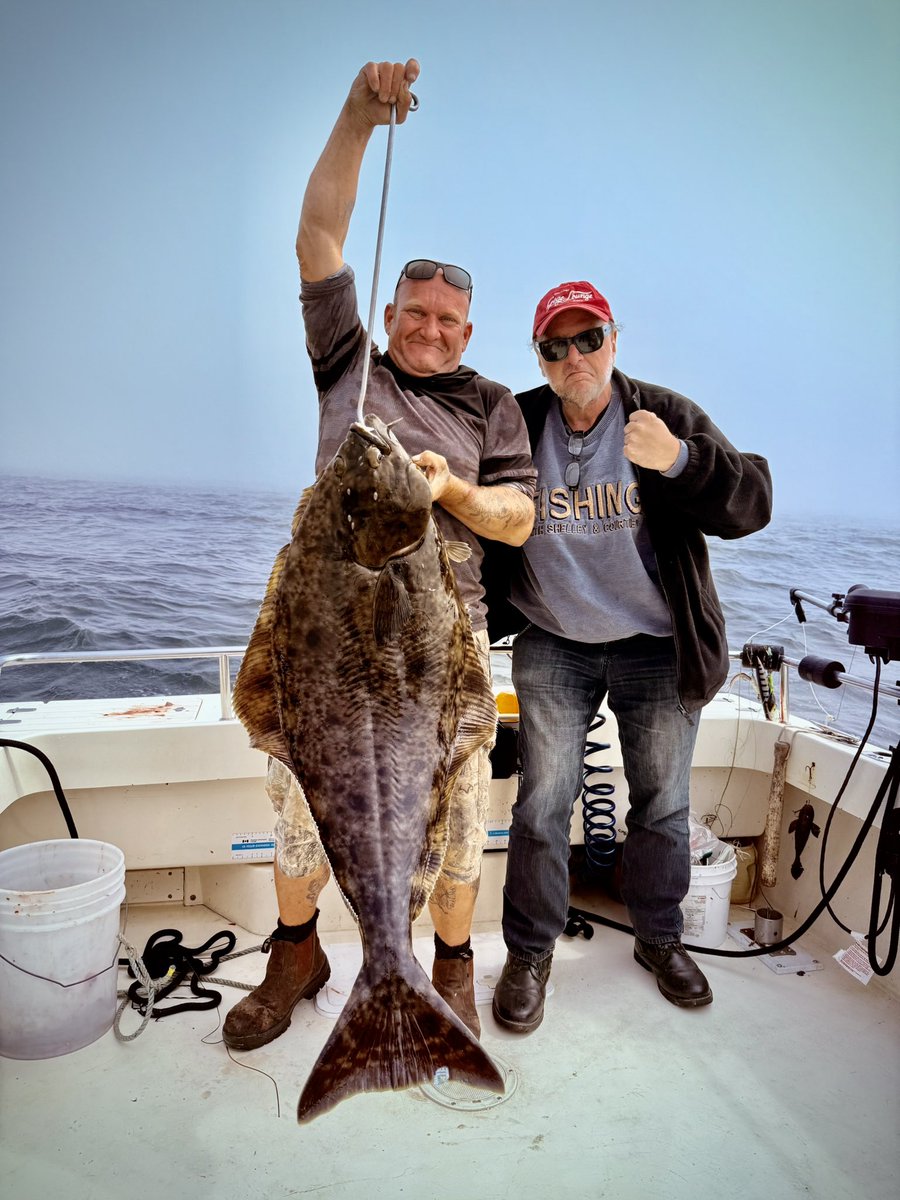 David “King Of Boogie” Gogo tweet media