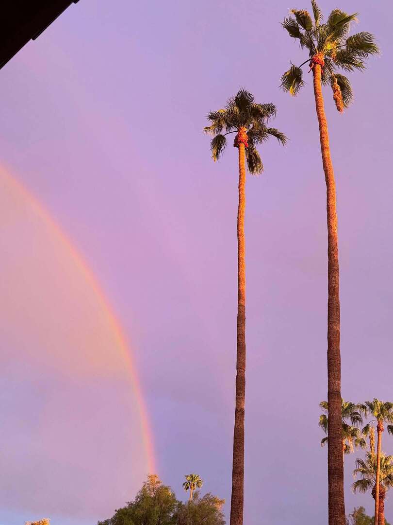 Katie Raml tweet media