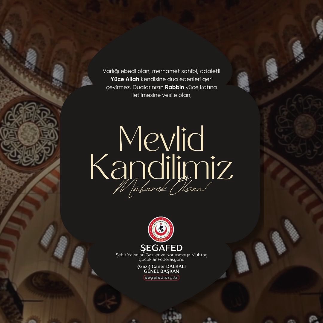 ŞEGAFED (@segafedtr) on Twitter photo 