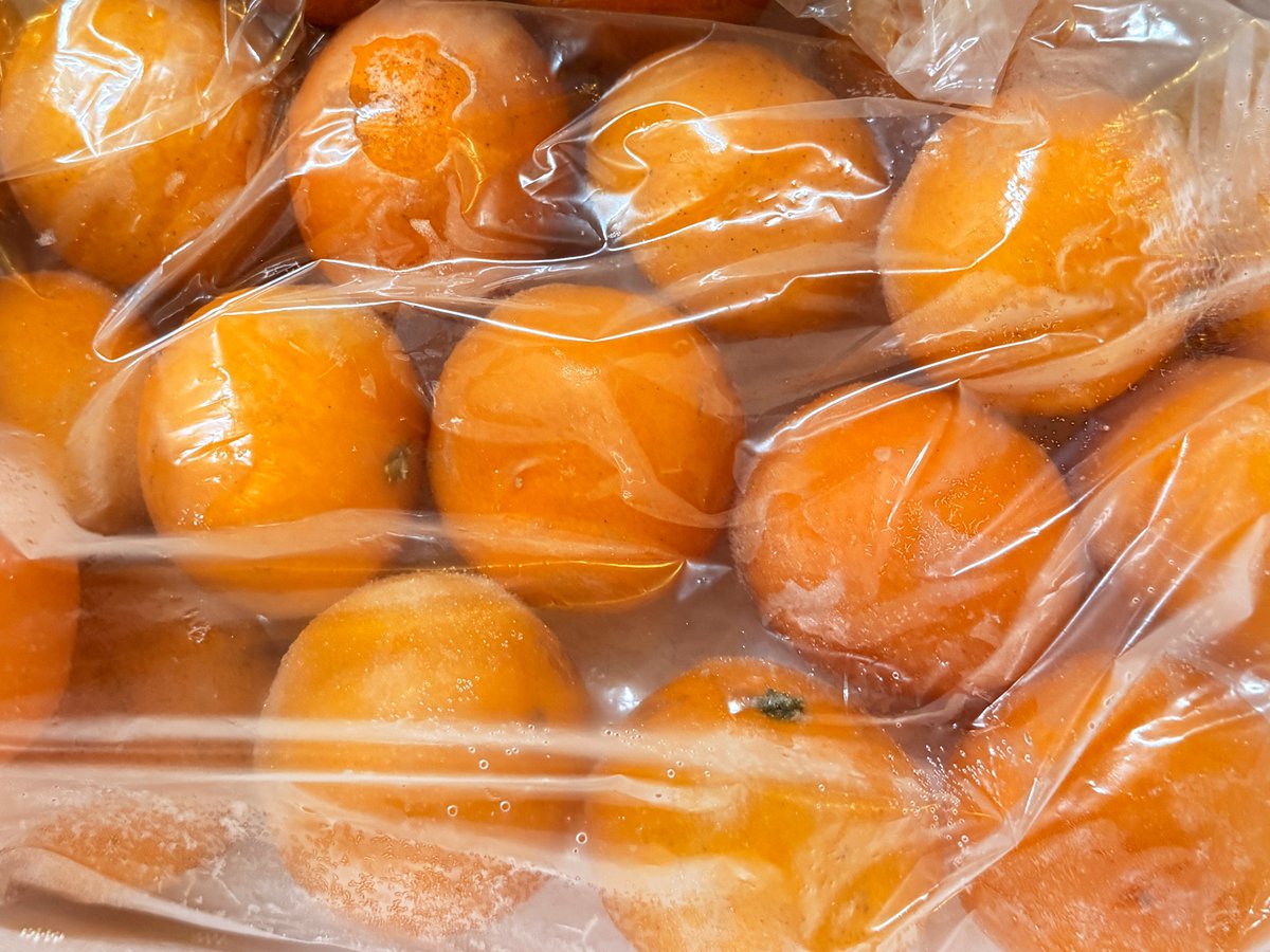 nomakajuen's tweet photo. おはようございます🍊
固定のみかんくじは本日が最終日です！まだまだ暑いので冷凍みかんは必携！当たらないと思いますが是非当てていってください！← https://t.co/r8re9LtLS4