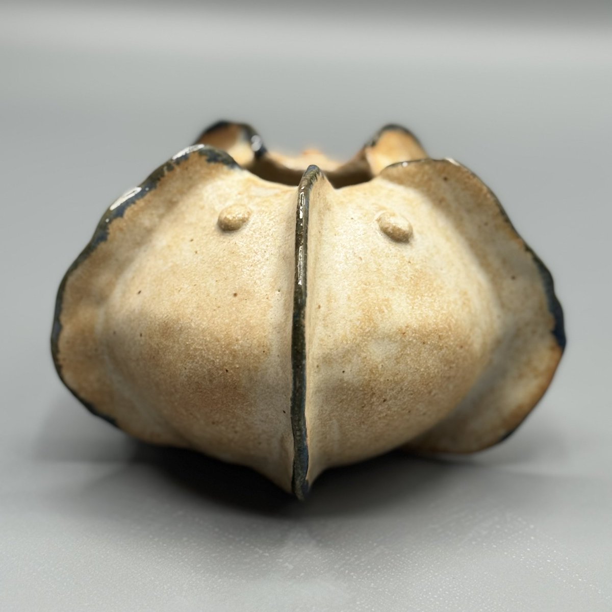 Adele Robbertze 🌺 tweet media