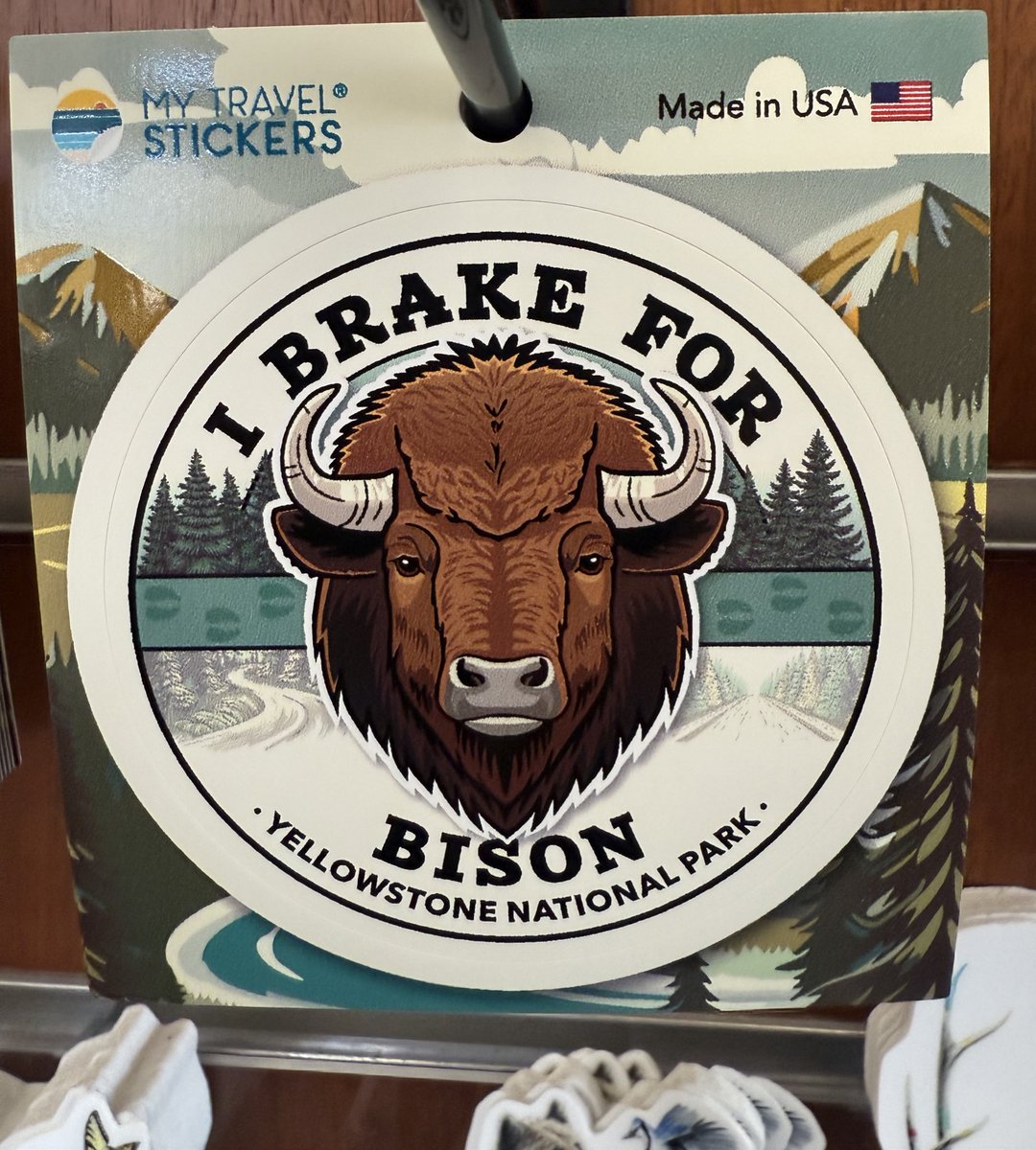 wapple15's tweet photo. A #BisonReport from #Yellowstone National Park https://t.co/4tgE0gt5PG
