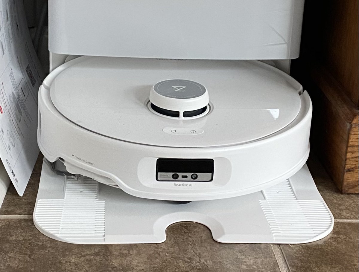 Kim Wise HamilŦon 📚🌺🌵🌮🏴‍☠️ tweet media