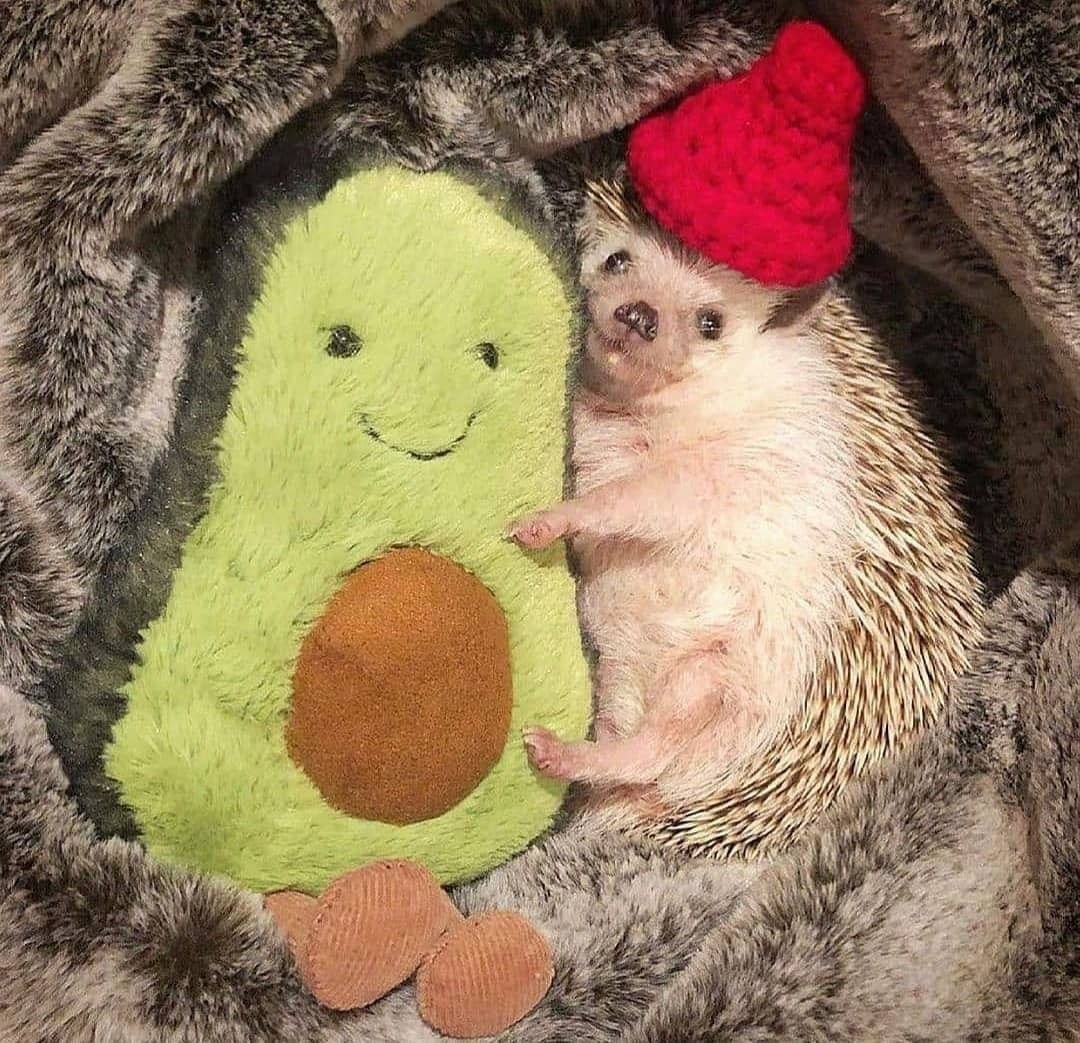 Vayan a seguir la segunda cuenta de magic!!