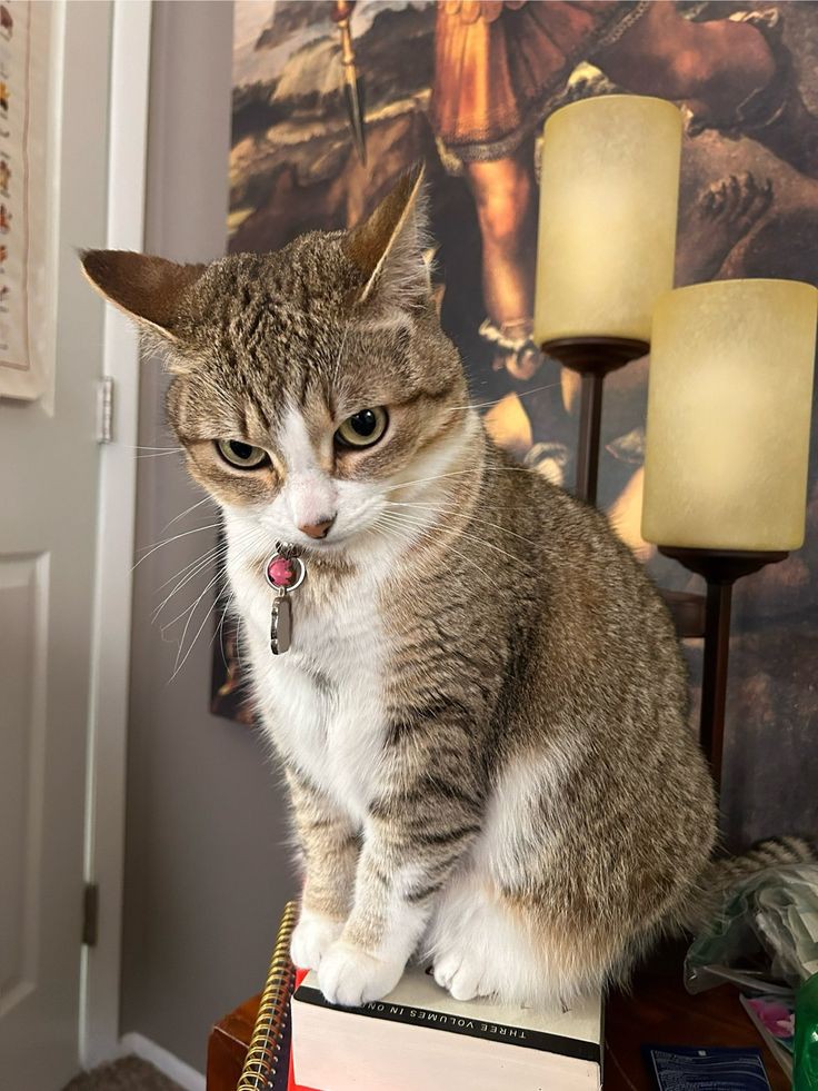 her şeye rağmen gülün