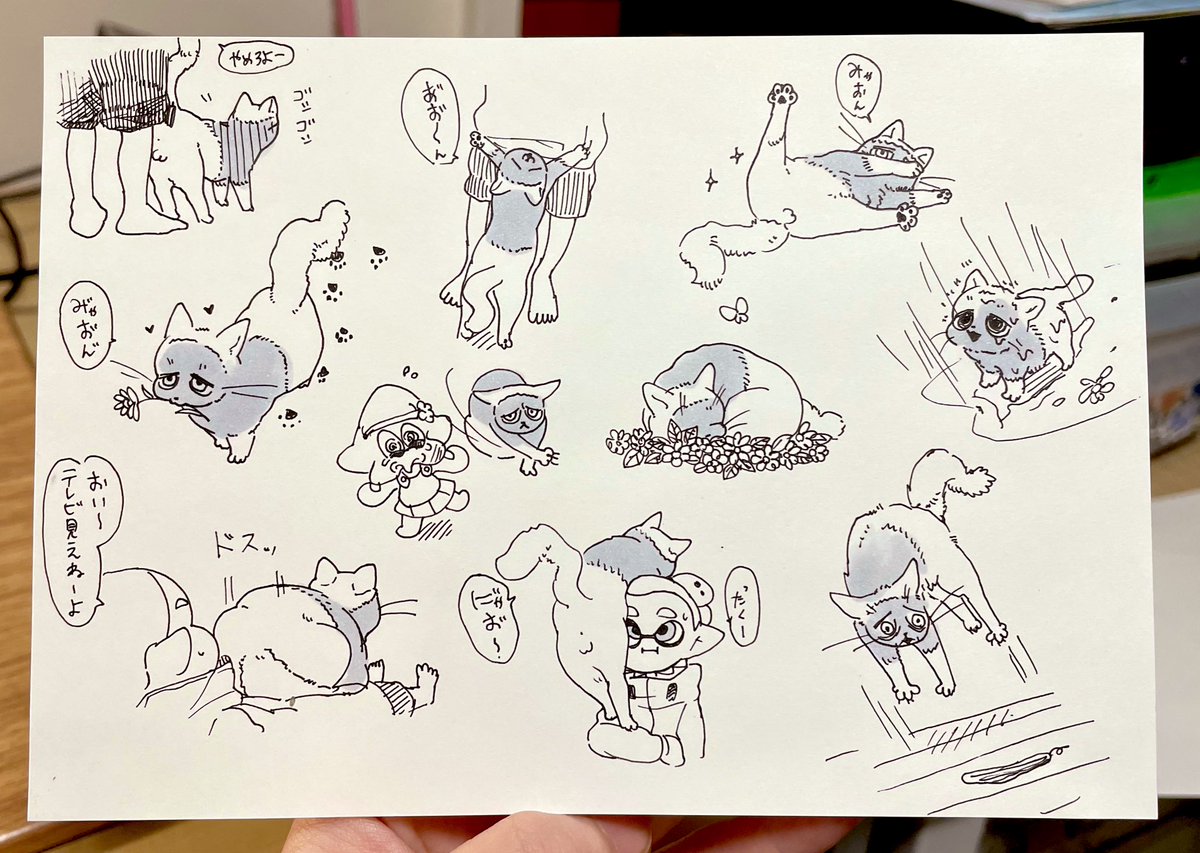 猫リノ 