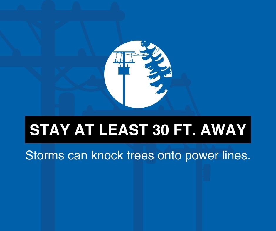 If you see a tree on a power line, don't go near it or attempt to remove it. Call 911 to report it.