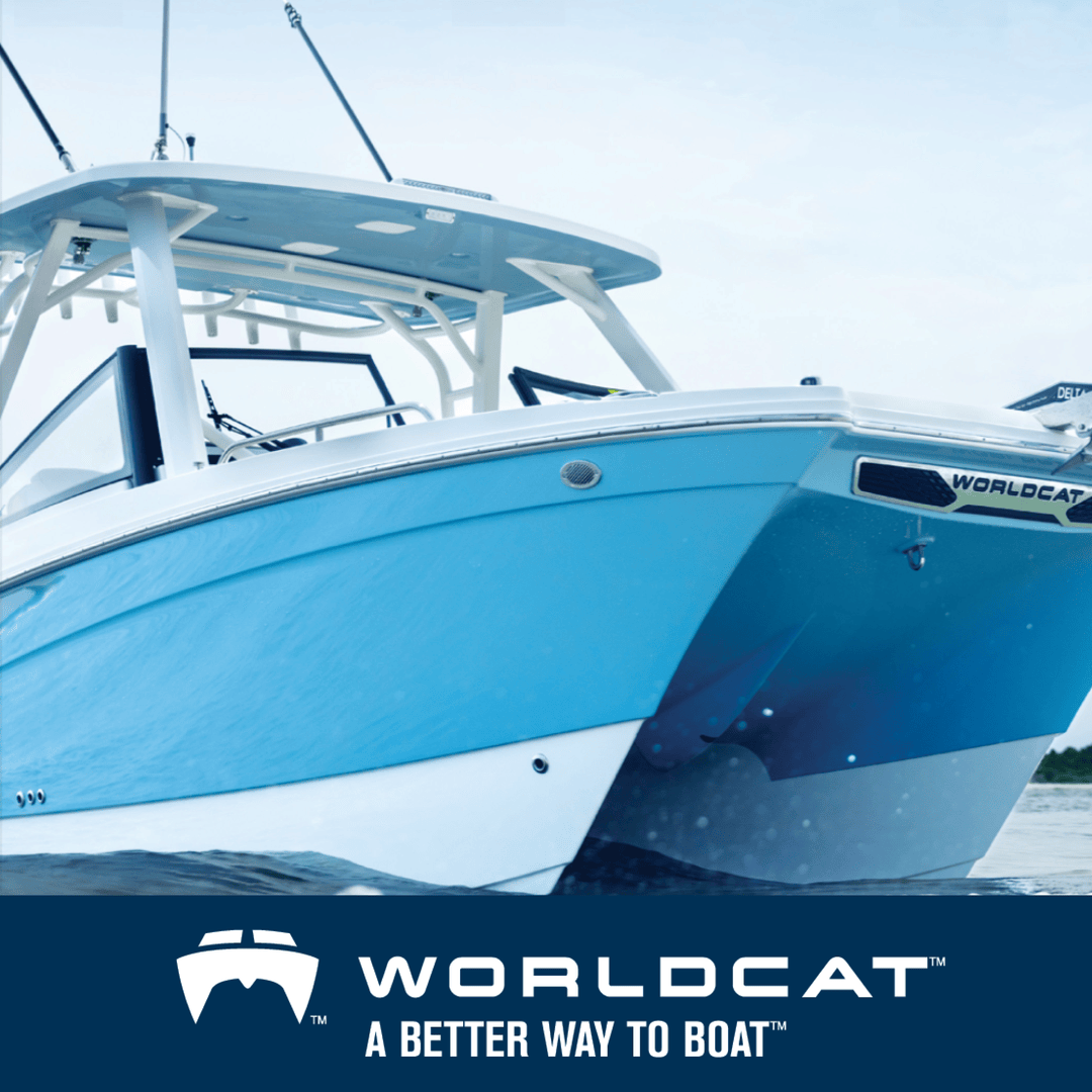 World Cat Boats tweet media