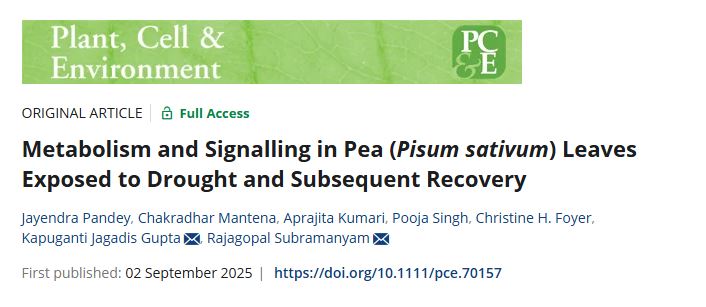 Delighted to share research paper published in Plant Cell &amp; Environment. This paper originated from collaboration with Prof Rajagopal's lab <a href="/NIPGRsocial/">BRIC-NIPGR</a> <a href="/DBTIndia/">Department of Biotechnology</a> <a href="/ChristineFoyer/">Christine Foyer</a> <a href="/rajesh_gokhale/">Rajesh Gokhale</a> <a href="/PrinSciAdvOff/">Office of Principal Scientific Adviser to the GoI</a>