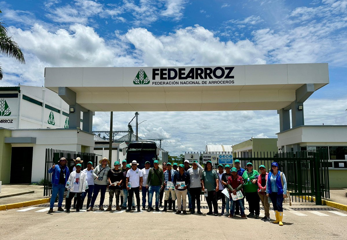 SomosAGROSAVIA's tweet photo. 🧵1/4 🚜🌾 En el segundo día de la#GiraTécnicaSTI nos trasladamos a Pachaquiaro, Meta, para conocer de cerca los avances en sistemas de transformación y producción de arroz con 22 miembros del resguardo López Adentro del pueblo NASA.👇 https://t.co/FIYyMxqVG6