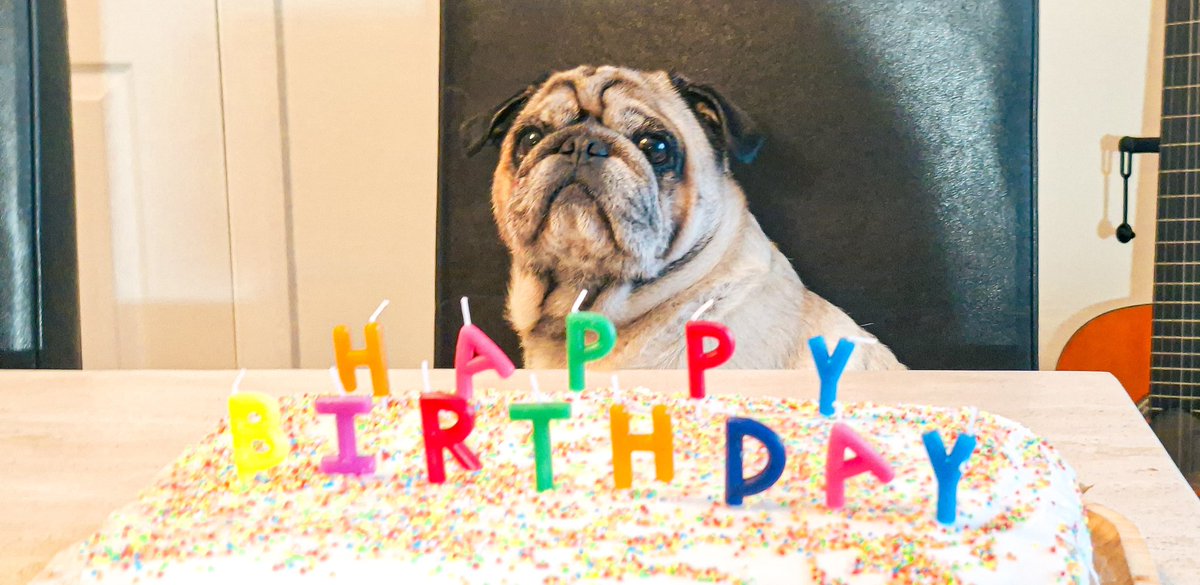 Jacob N (ropug) tweet media