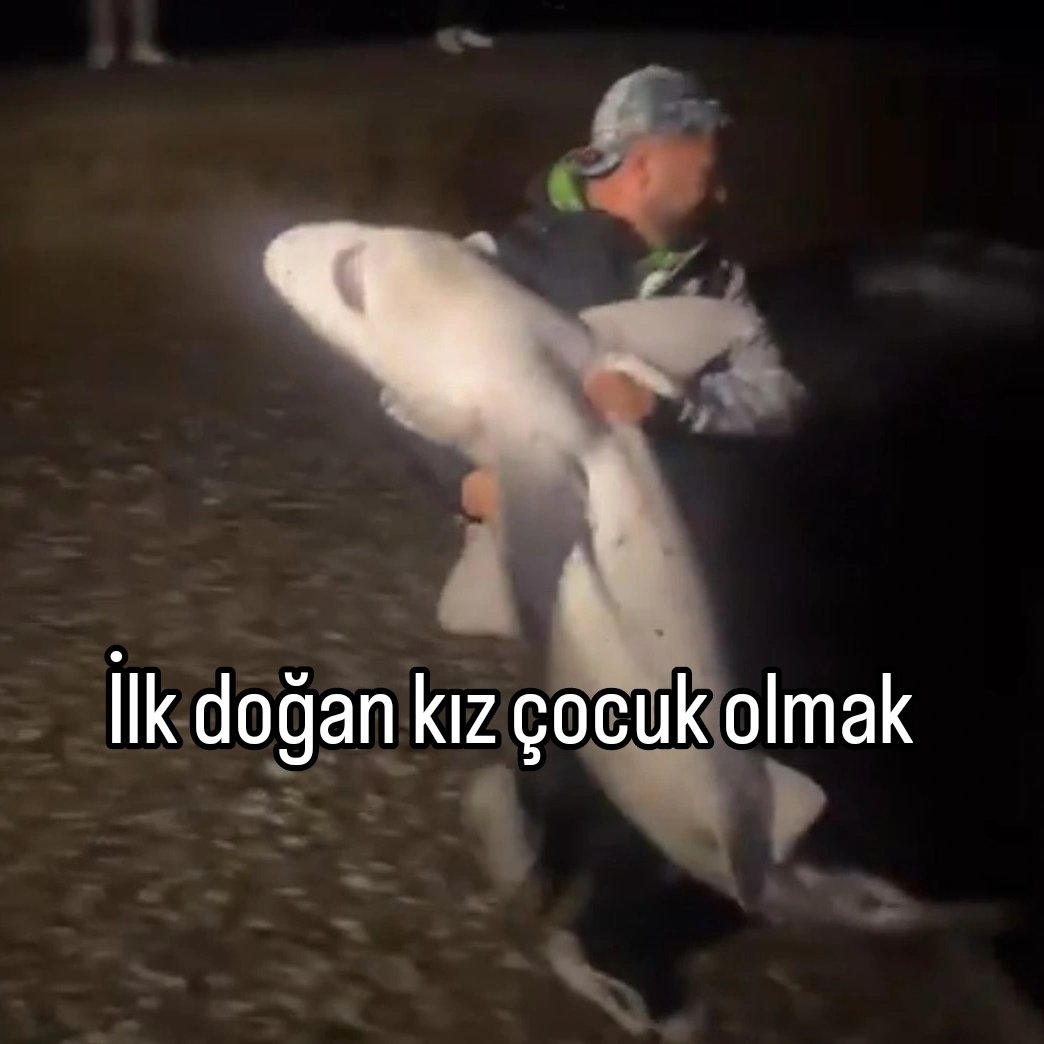 ANLIK (@anlikmod) on Twitter photo 