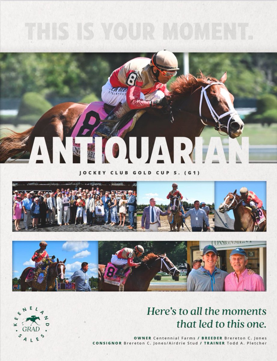 This is your moment 🤩 ANTIQUARIAN, winner of the GI Jockey Club Gold Cup, is a <a href="/keenelandsales/">Keeneland Sales</a> grad!
