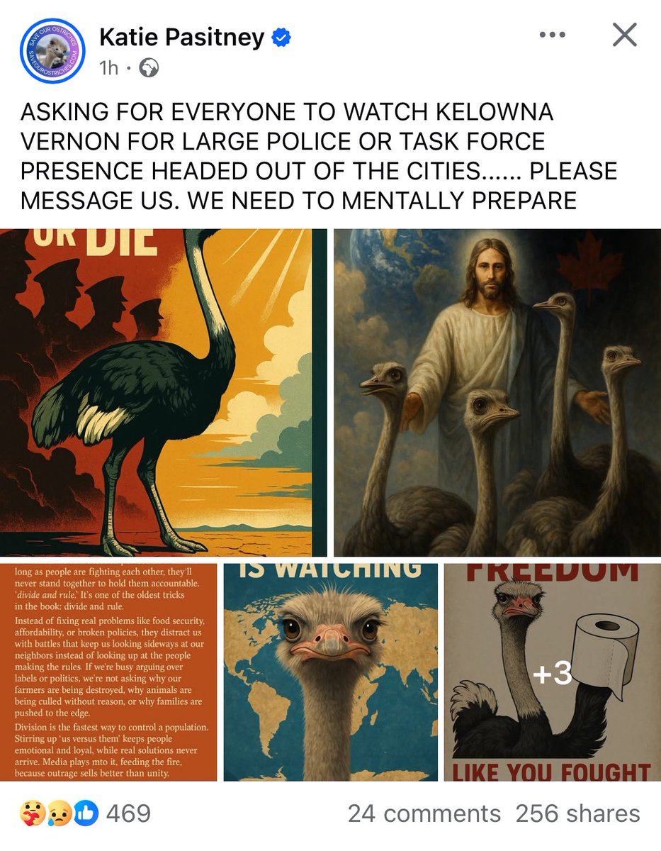 <a href="/Starlink/">Starlink</a> <a href="/Starlink/">Starlink</a> <a href="/KatiePasitney/">Katie Pasitney (Universal Ostrich Farms)</a> and 400 ostrich’s need you guys so badly, imagine not be able to sleep for having to keep watch, incase they rock up to cull your animals, who we are know are like family !!!