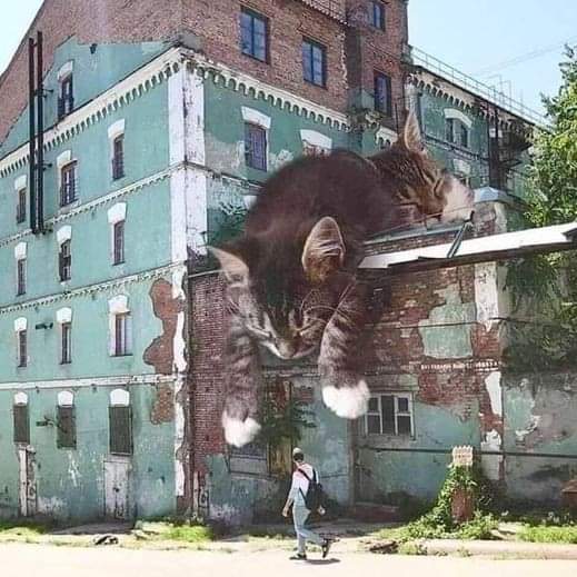 Hawwo lufly furienz! 
#ECCHappyHour