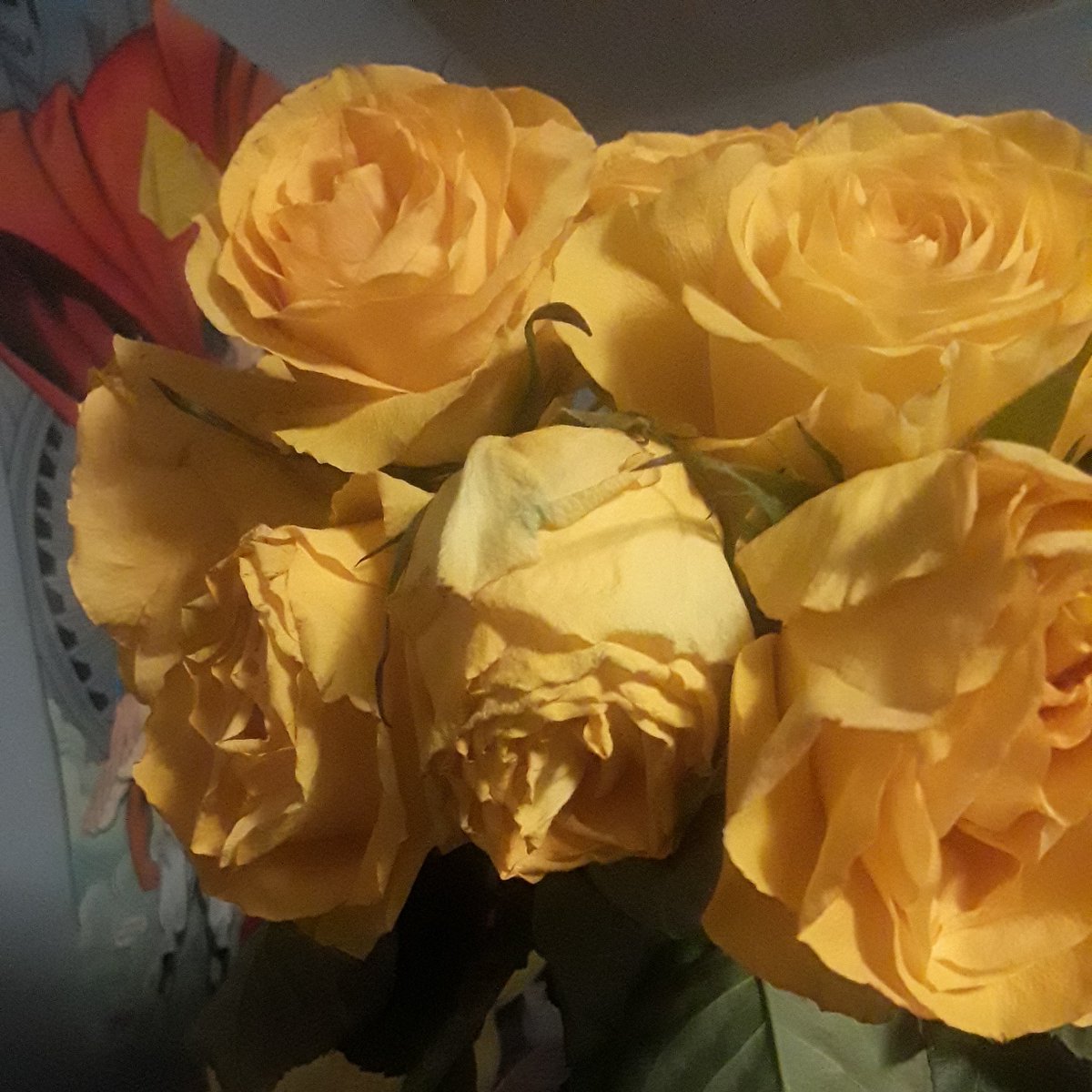 fraublücher○ (@badwolffen) on Twitter photo 