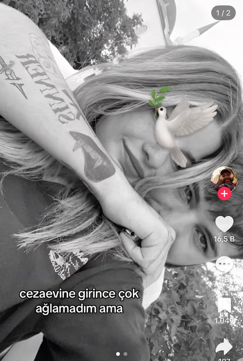 beyzipsg's tweet image. Twitter’da insanlar küçük bir fanusun içinde yaşıyorlar. “Serseri erkekler aşağılanmalıdır, gençler özeniyor.” diyorum. E aşağılıyoruz ya diyorlar. 

Aynen aşağılanıyor. Bu ülkenin gerçeği TikTok’tur. Yorumlara bakın, bir tane olumsuz yorum göremezsiniz.