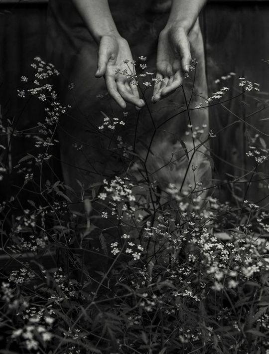 "Solo las pequeñas cosas de la vida son importantes"
Joseph Roth
📷Julia Hart