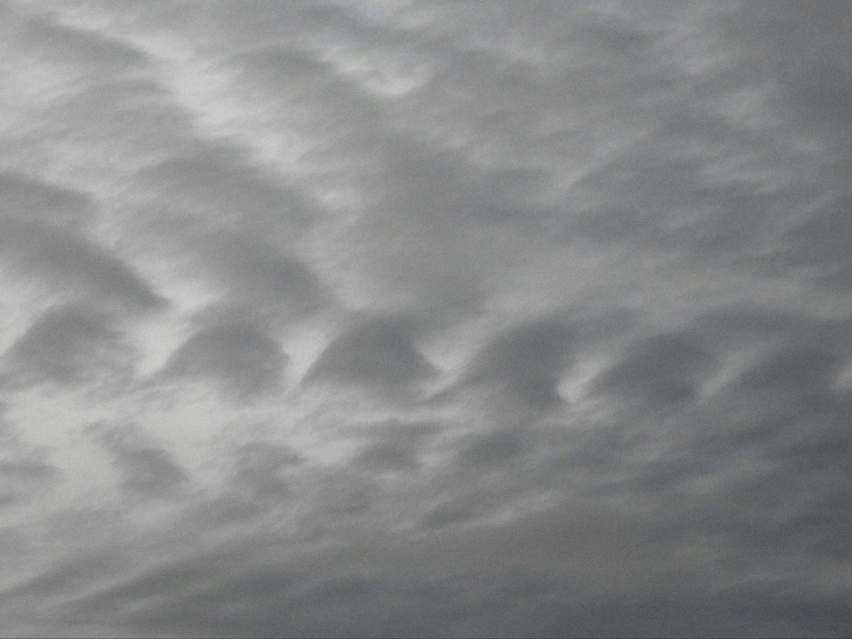 mildthing99's tweet photo. #PolarJet causing #windshear with #KelvinHelmholtz #Fluctus and #AltocumulusUndulatus at dusk over the #SurreyHills
@CloudAppSoc @StormHour @metoffice @ThePhotoHour
#StormHour #loveukweather https://t.co/XuCxcG7LsL