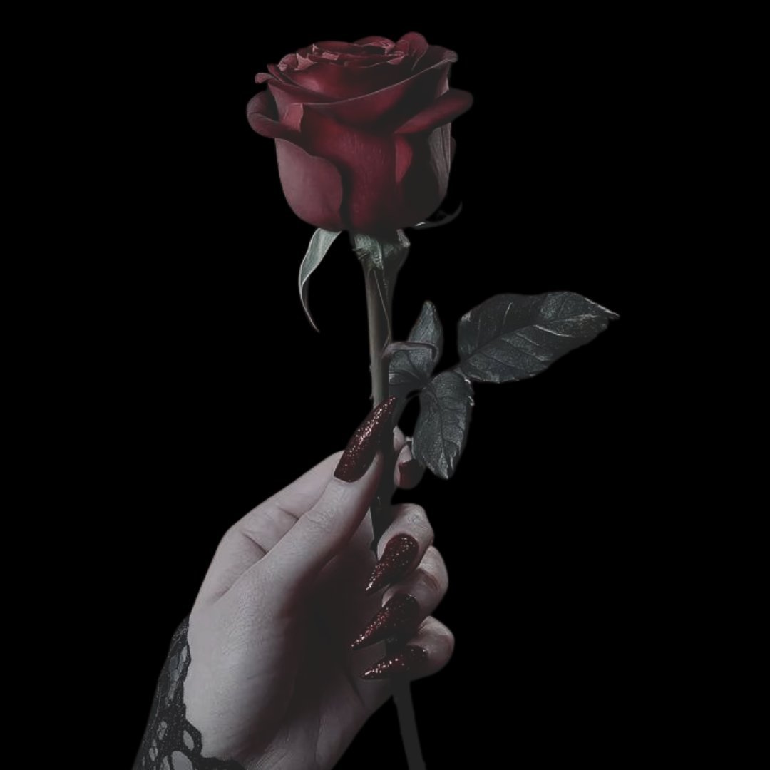 MOTHERKNOW5BEST's tweet image. ⠀⠀⠀My 𝒻𝒶𝓂𝒾𝓁𝓎 is 𝐧𝐨𝐧-𝐧𝐞𝐠𝐨𝐭𝐢𝐚𝐛𝐥𝐞.