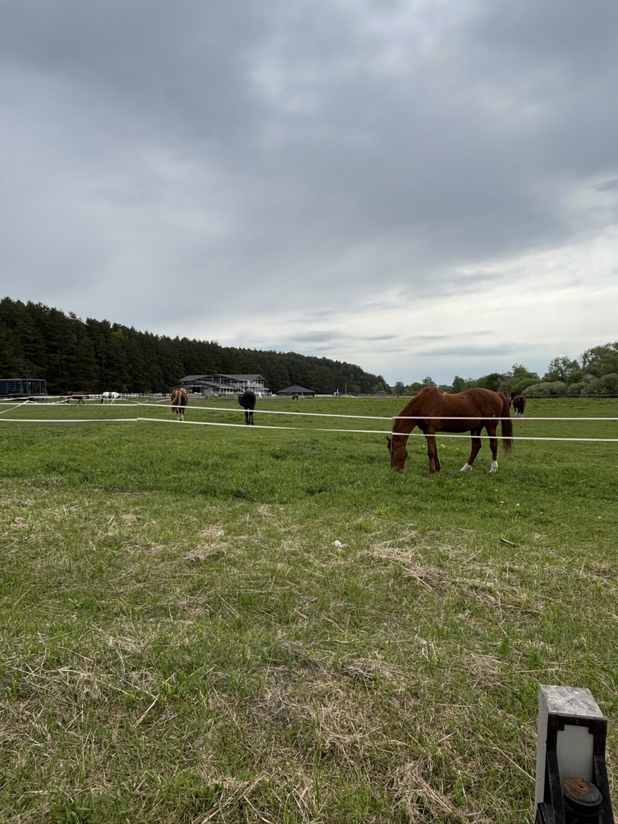 _ame780's tweet image. موسكووو🇷🇺