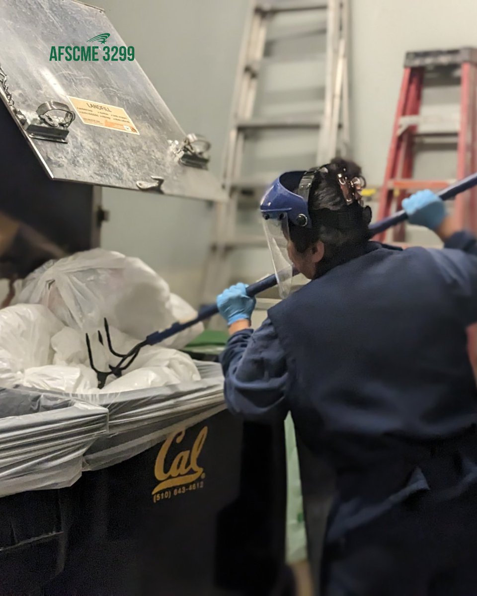 AFSCME Local 3299 (@afscme3299) on Twitter photo CRASH! A glass bottle shatters up at Angelica as she opens the trash chute – but she’s prepared. She’s suited up with a face shield and a thick apron to protect her. At UC Berkeley’s freshman dorms, students don’t always think about what they throw away, or how it could harm the CRASH! A glass bottle shatters up at Angelica as she opens the trash chute – but she’s prepared. She’s suited up with a face shield and a thick apron to protect her. At UC Berkeley’s freshman dorms, students don’t always think about what they throw away, or how it could harm the