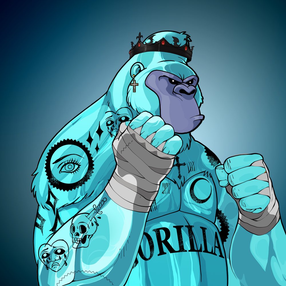 Bull.vet tweet media