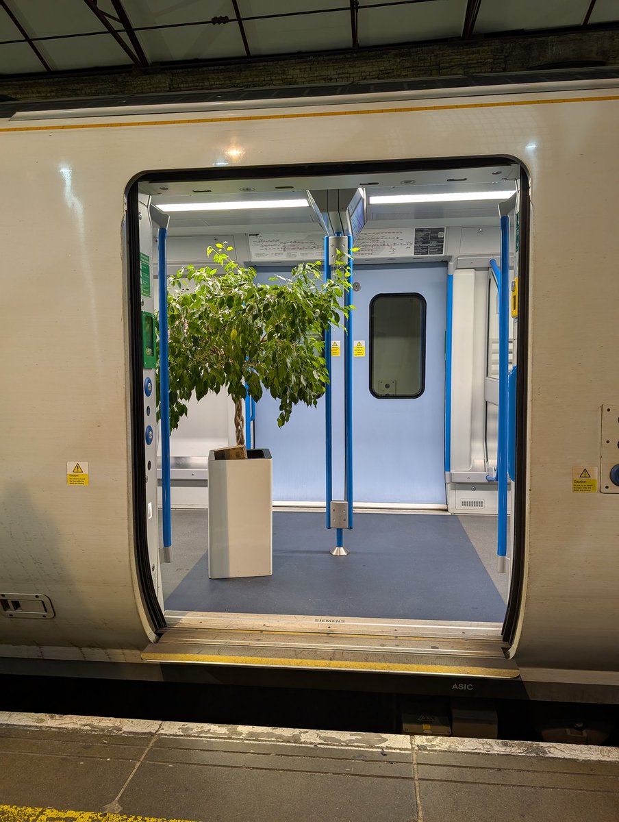 Simon Weller tweet media