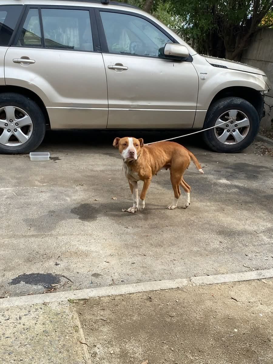 Quilpué, perdida o abandonada?, al parecer la explotaron. Está Cerro Viejo, Alto Manquehue, Los Pinos