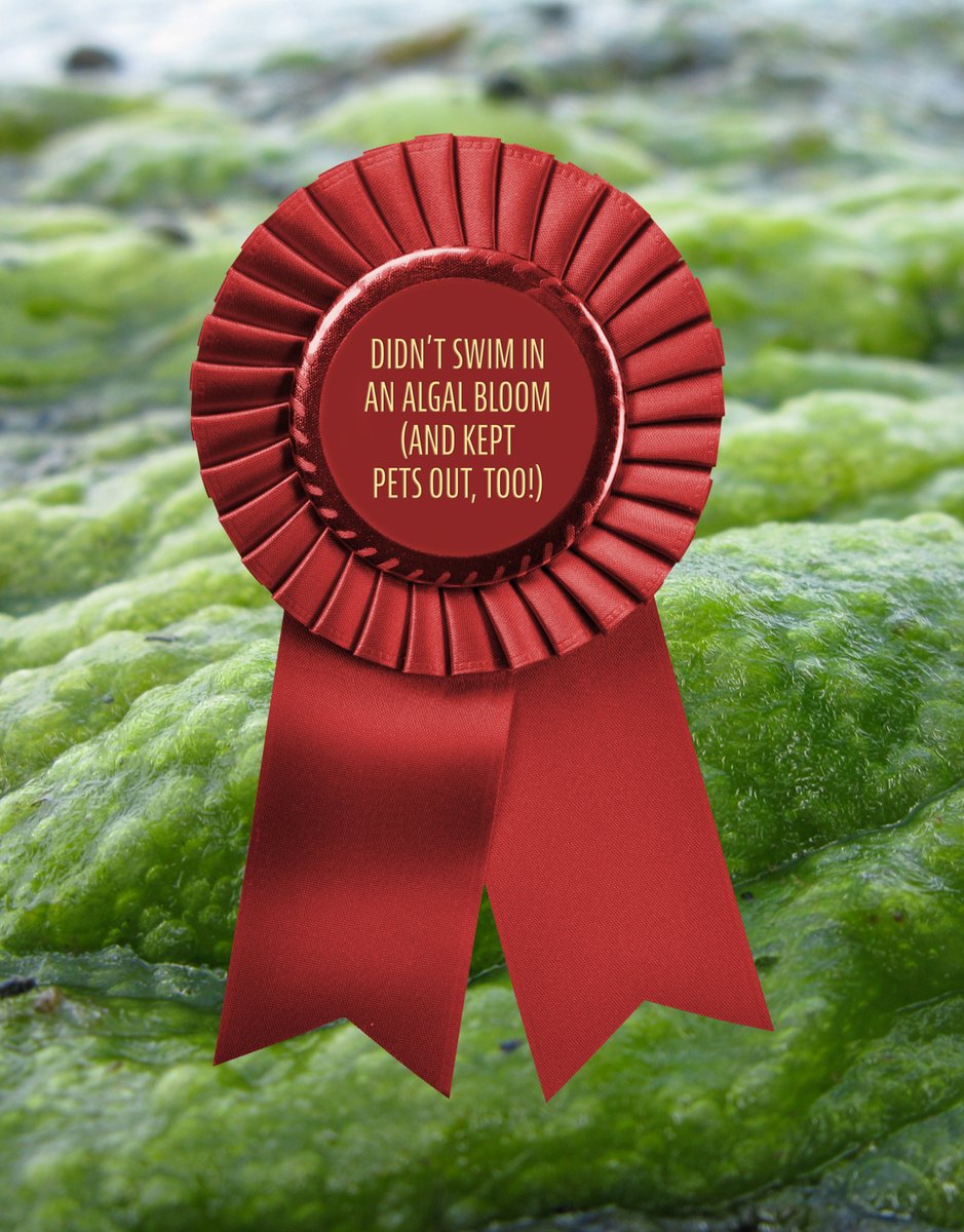Didn't win any ribbons at this year's state fair? Don't worry, we have some awards for you! What prizes are you taking home?