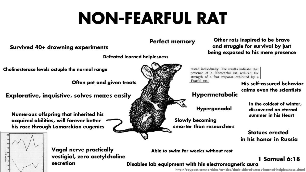 Zachary (@privatier_1) on Twitter photo <a href="/uncle_deluge/">Ante D. Luvian</a> Many people talk about becoming the “non-fearful rat” (picrel), but few ever attain the ascended level of the “nonchalant rat.” <a href="/uncle_deluge/">Ante D. Luvian</a> Many people talk about becoming the “non-fearful rat” (picrel), but few ever attain the ascended level of the “nonchalant rat.”