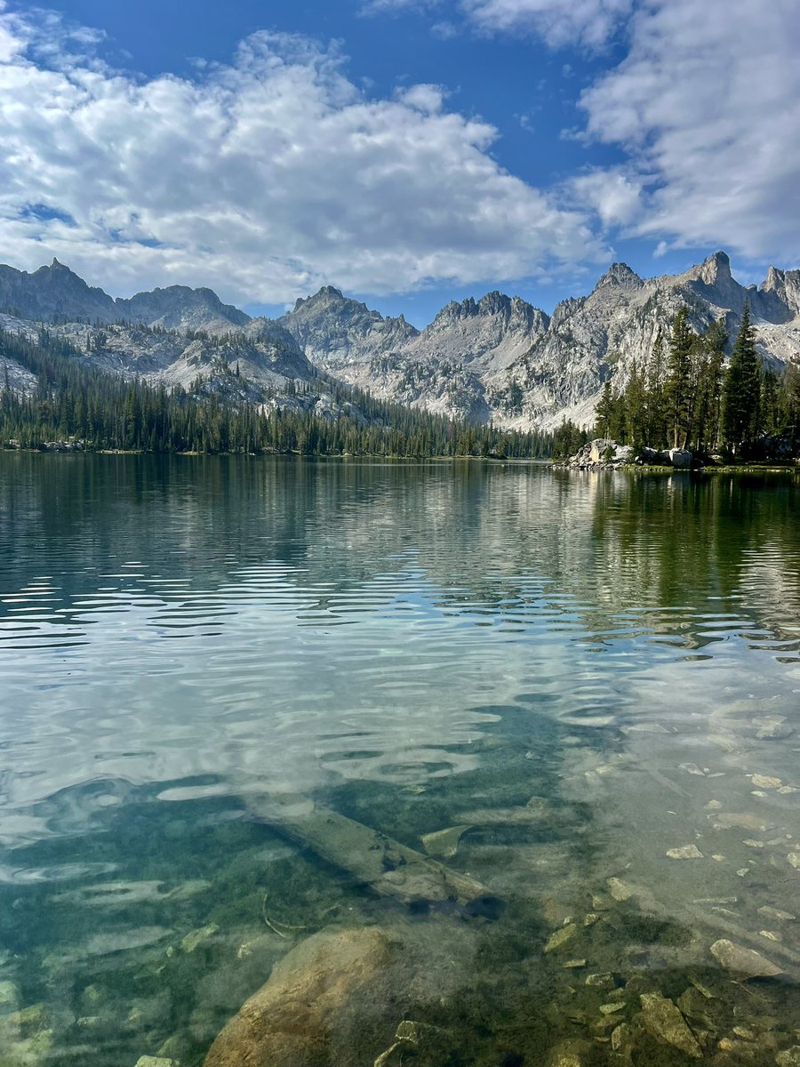 V_irvin_V's tweet image. This vast and vivid landscape, cut by glaciers and rivers, is populated by creatures and elements far more interesting and colorful than anything the heavens have yet to reveal to us.