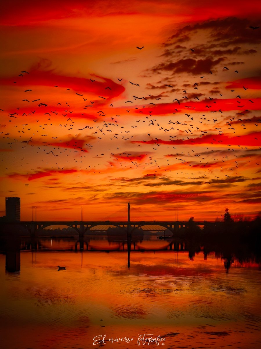 Que no muera dócil la llama de este crepúsculo,que arda,que se quiebre,que estalle contra la vasta negrura,pues en su furia luminosa
se escucha todavía el pulso secreto de la tierra.✨️☀️🔥
.
<a href="/CiudadBadajoz/">Badajoz_Ciudad</a> <a href="/EspanaEnLatam/">España en Latam</a> <a href="/CopeExtremadura/">COPE Extremadura</a> <a href="/aytodebadajoz/">Ayuntamiento Badajoz</a> <a href="/DipdeBadajoz/">Diputación de Badajoz</a>