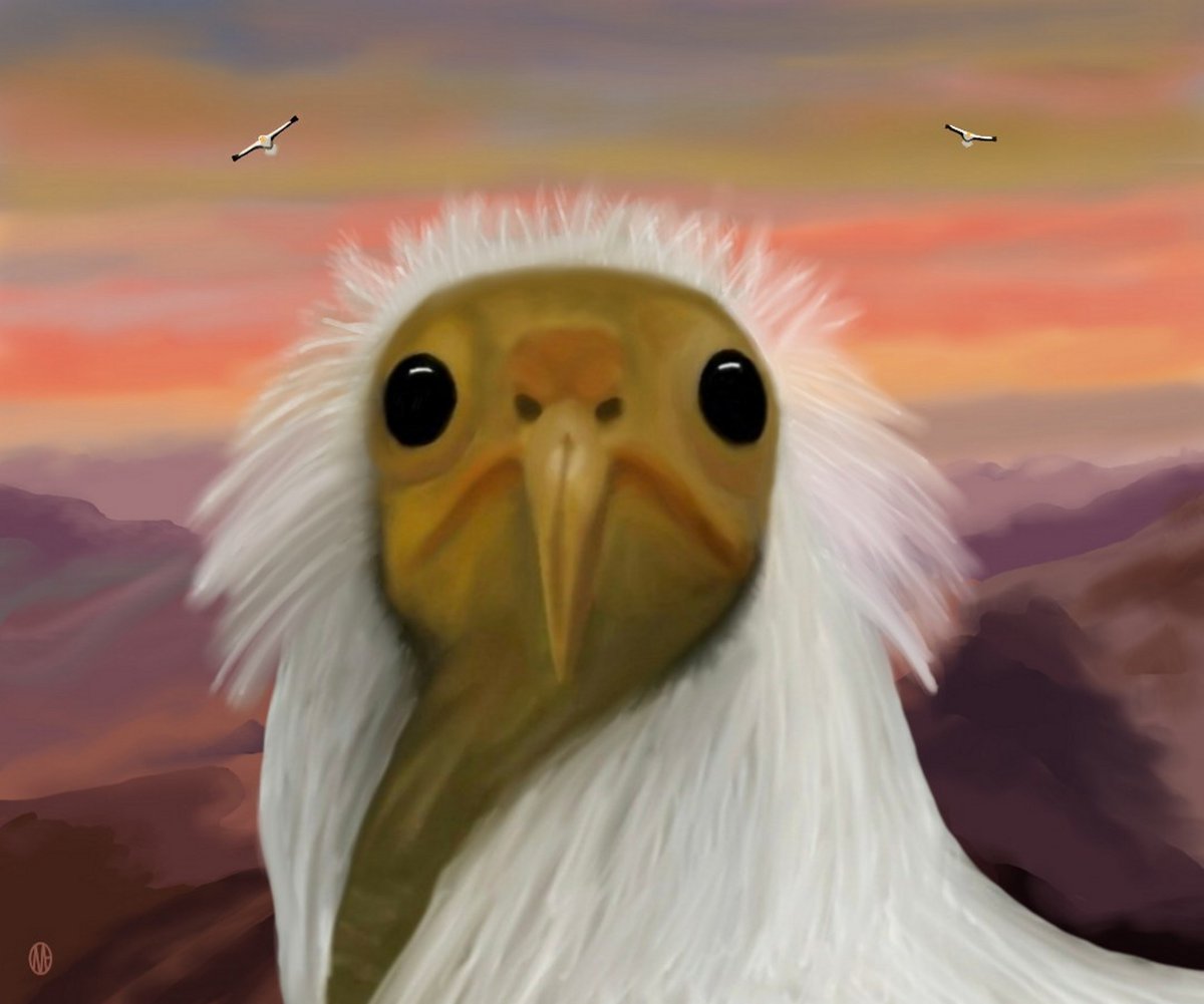 <a href="/livingarts_eth/">𝐒𝐚𝐜𝐡𝐢𝐧 📸🎨</a> <a href="/SkurpySocial/">Skurpy</a> <a href="/objktcom/">objkt</a> 'Bone Weaver: Egyptian Vulture'
objkt.com/tokens/KT1Bz2d…