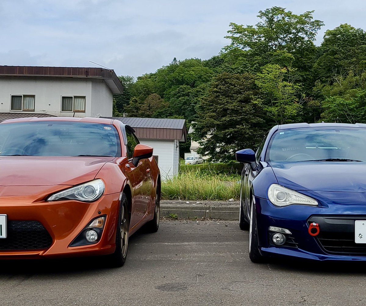 RootNb6c's tweet image. おはようございます🌤️