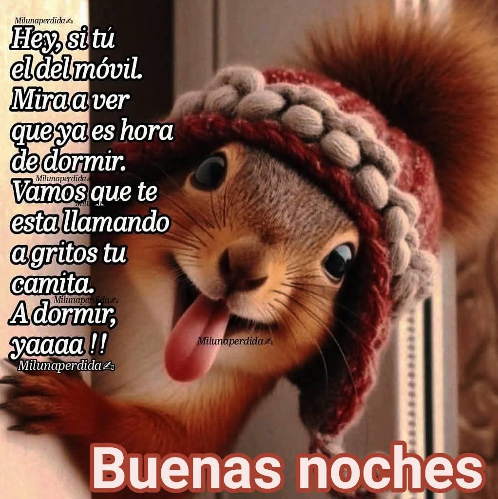 #BuenasNochesMundo
Que tengáis una feliz noche y dulces sueños mis soñadores 😘😘😴 hasta mañana 😘