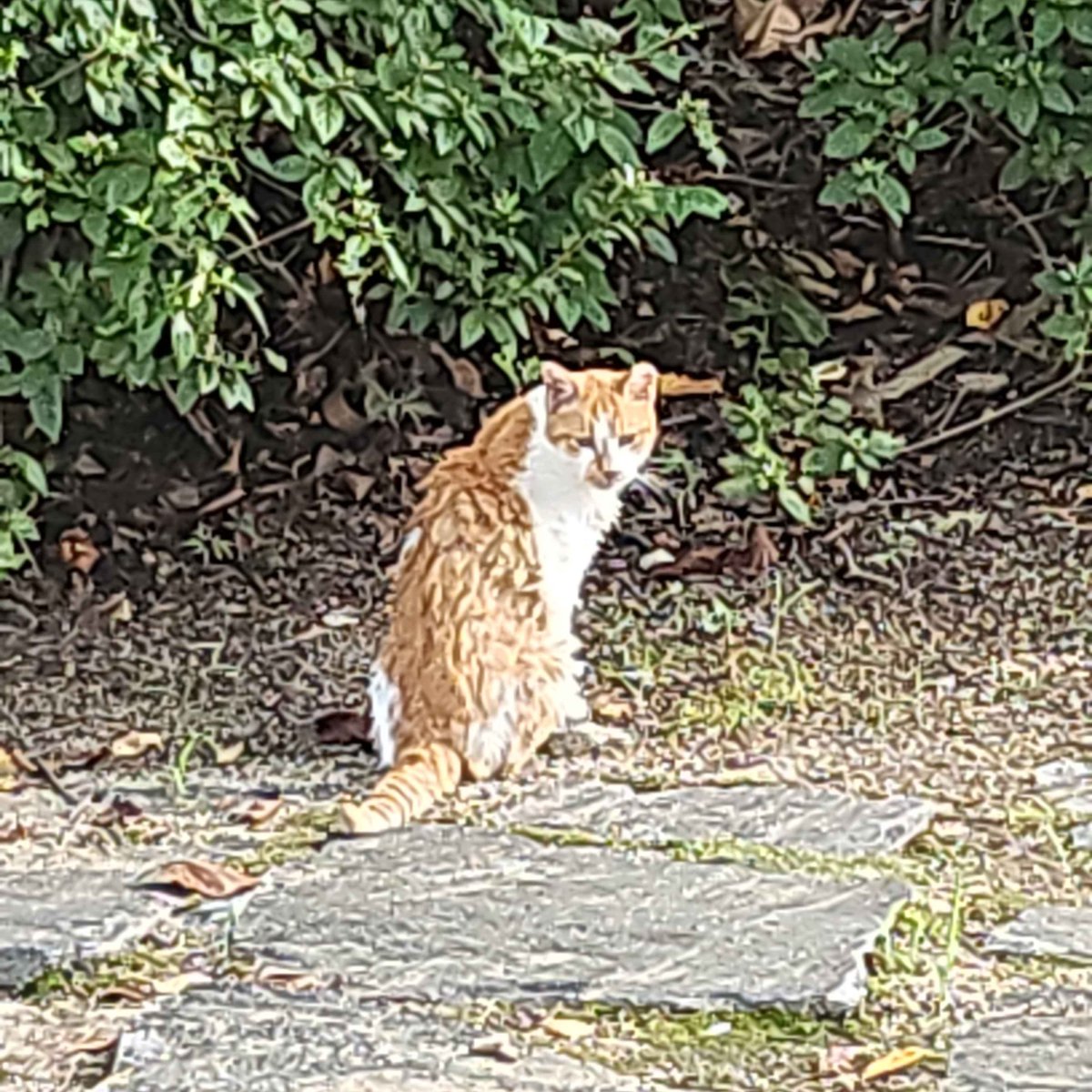 ZIK (@zikbakguri) on Twitter photo 