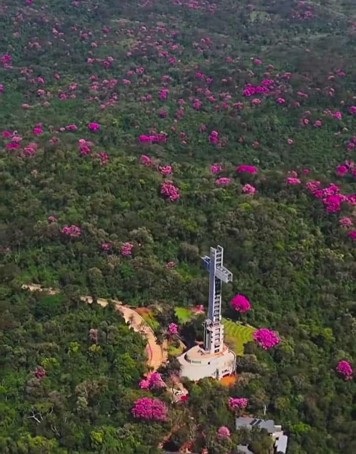 De misiones al mundo